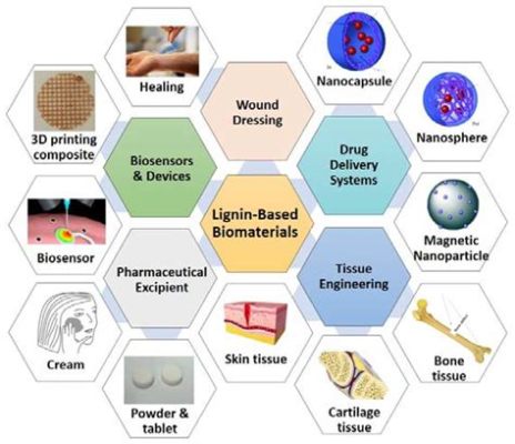 Quitosane: Un Biomatériau Polyvalent pour les Applications Médicales et Industrielles !